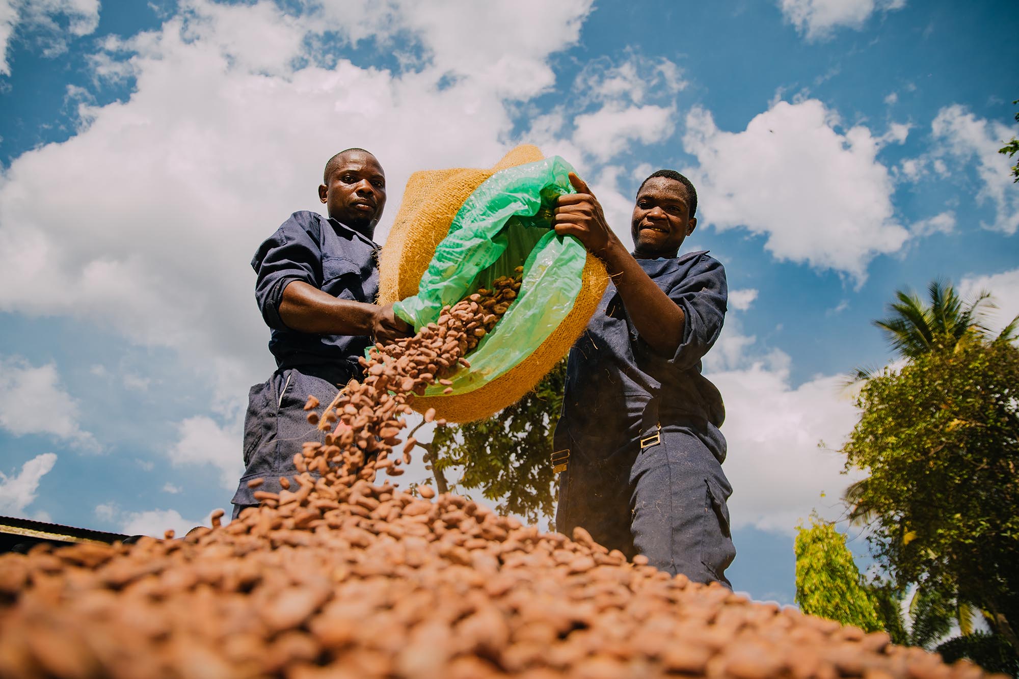 The Real Cost of Chocolate  