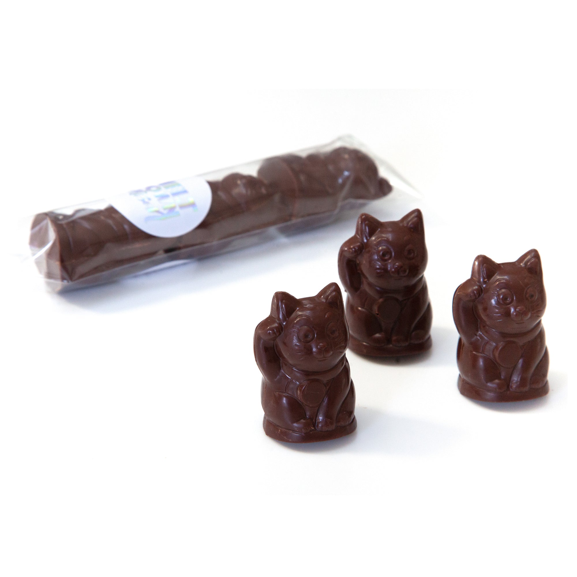 Assam Hazelnut Praline Cats