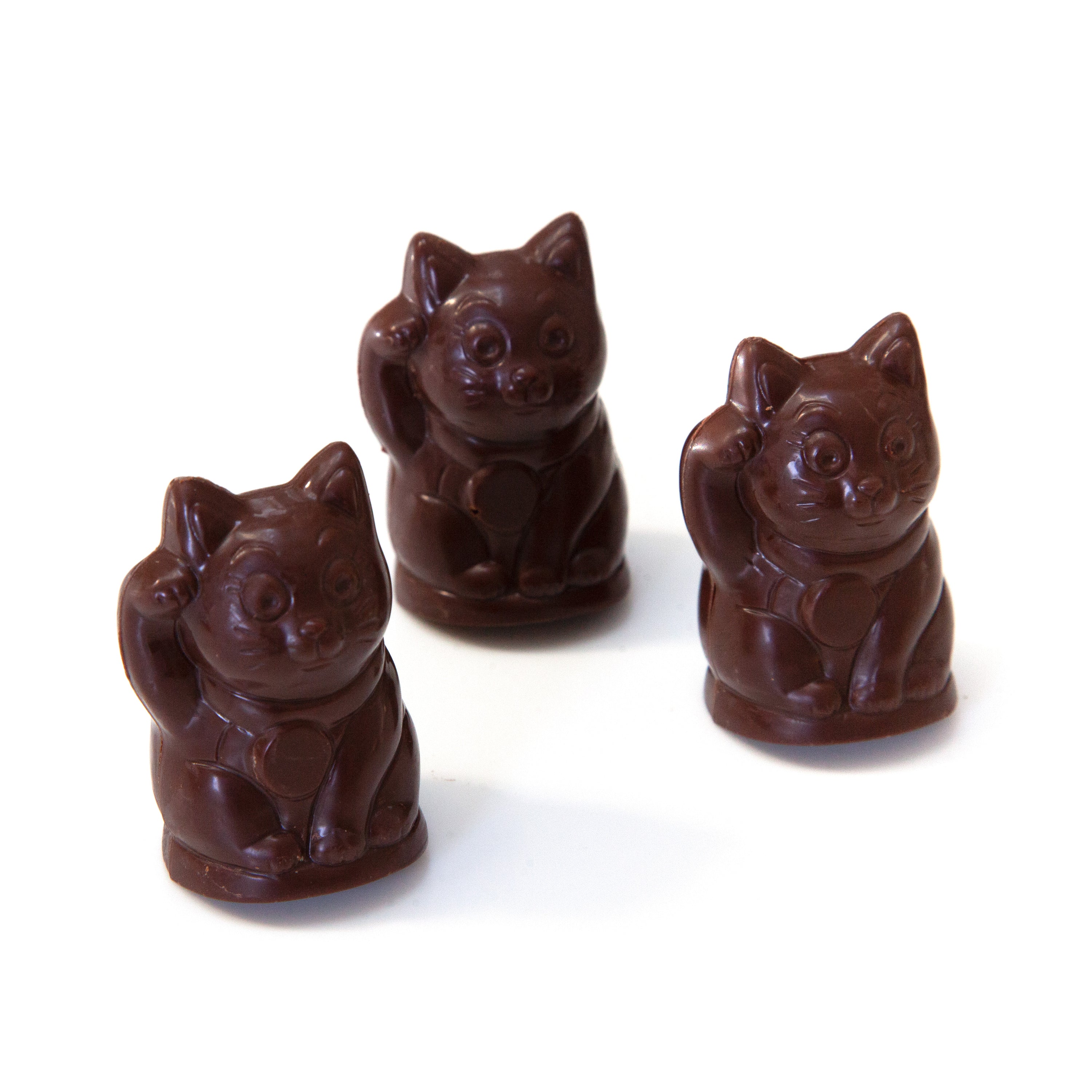 Assam Hazelnut Praline Cats