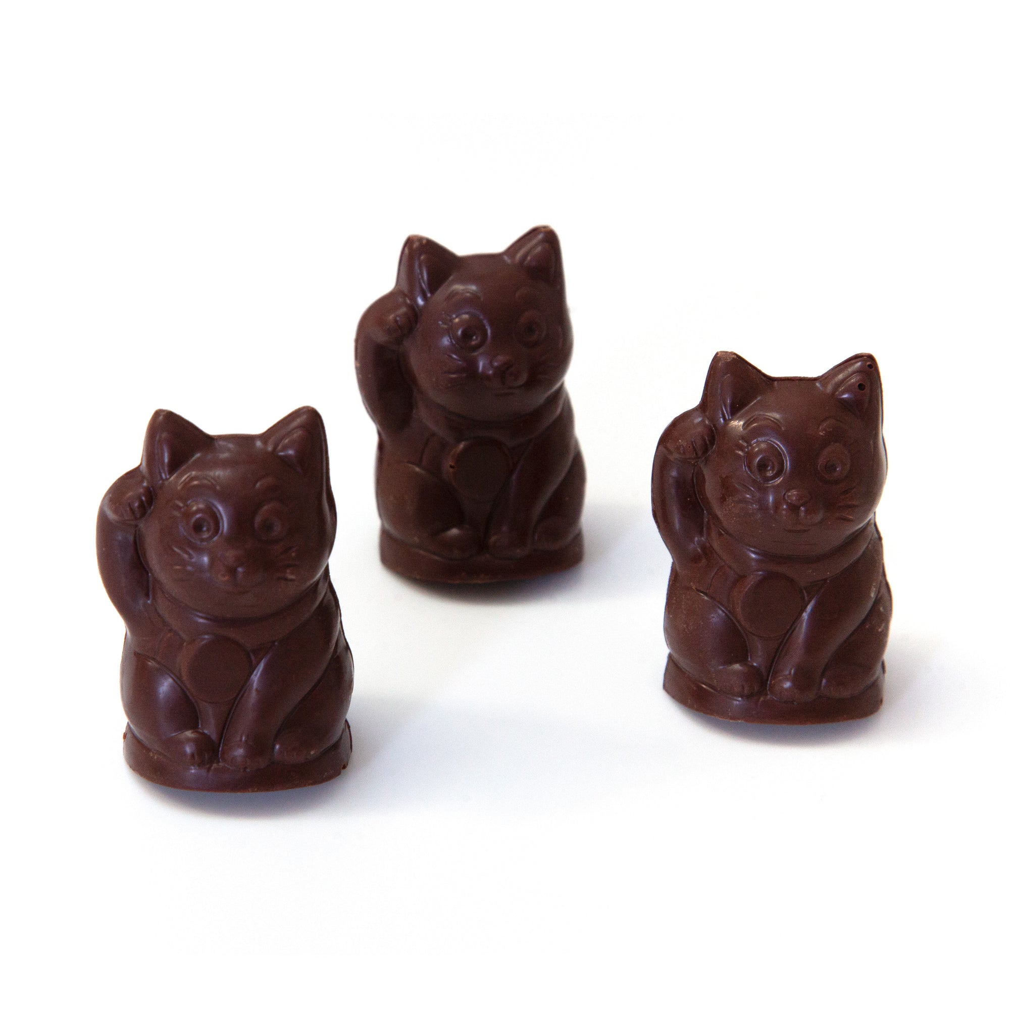 Chai Hazelnut Praline Cats