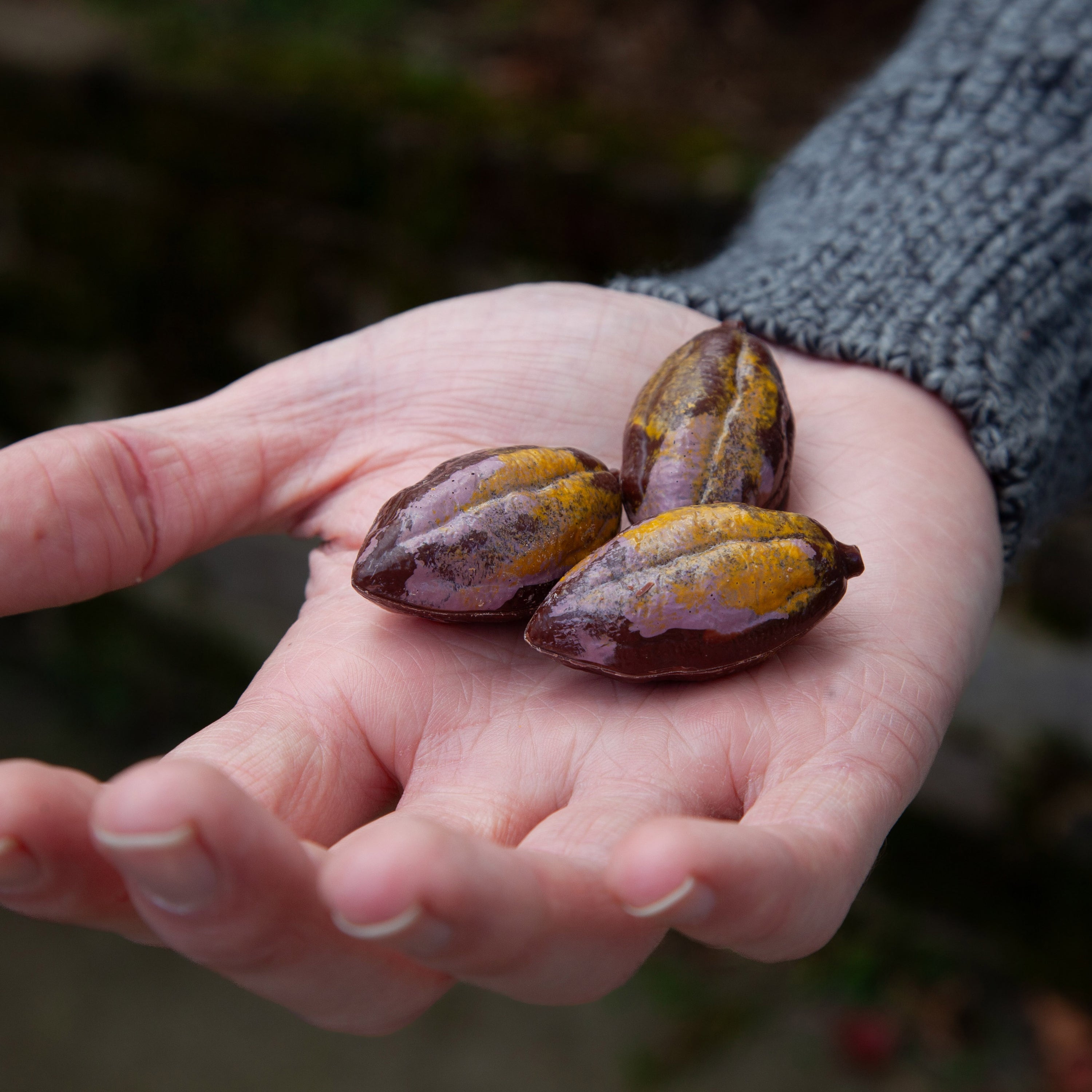 Passionfruit Caramel Cocoa Pods